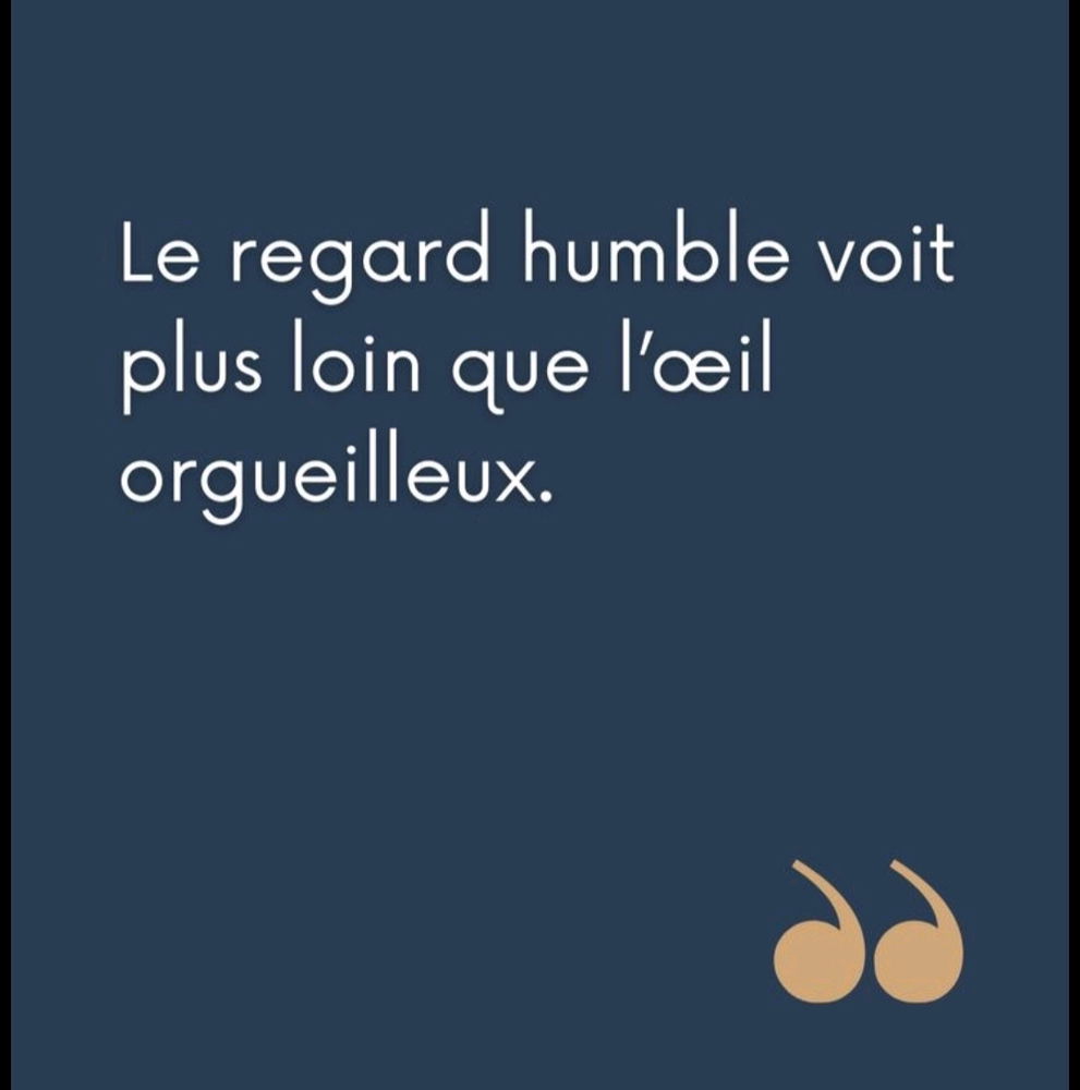 🤍