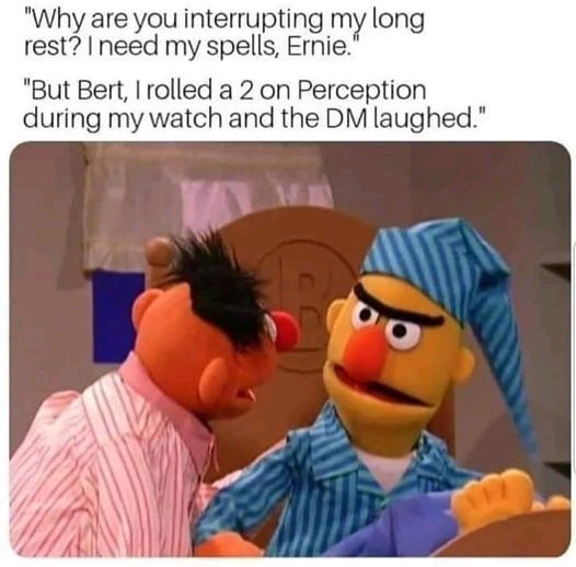 Funny D&D meme