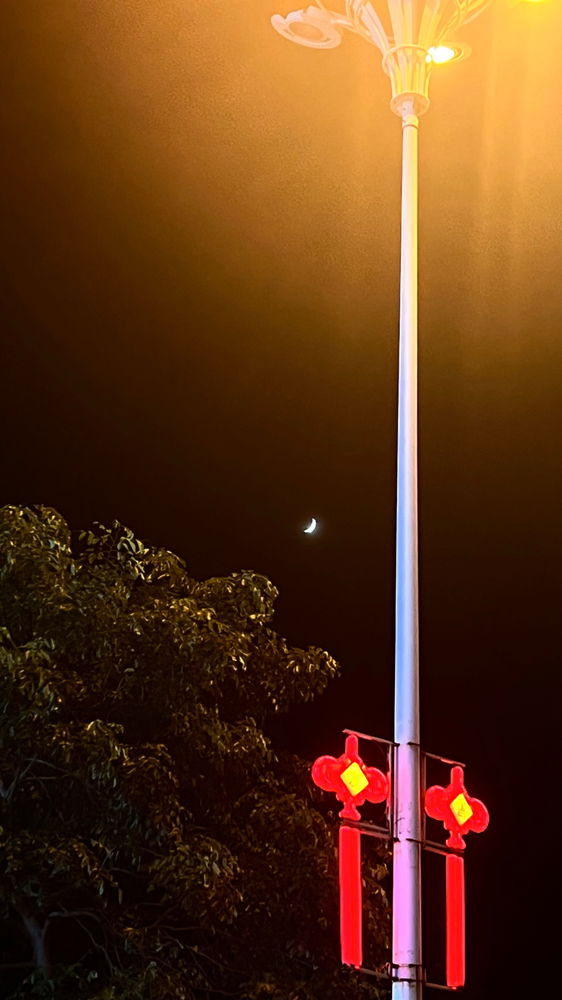 Moon love