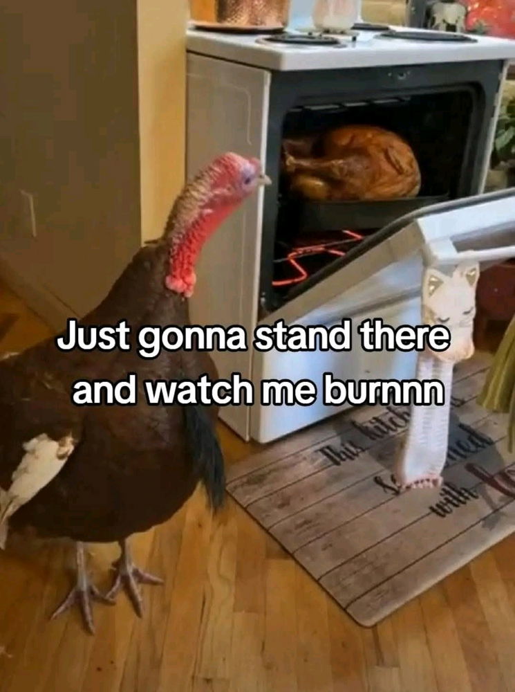 😂