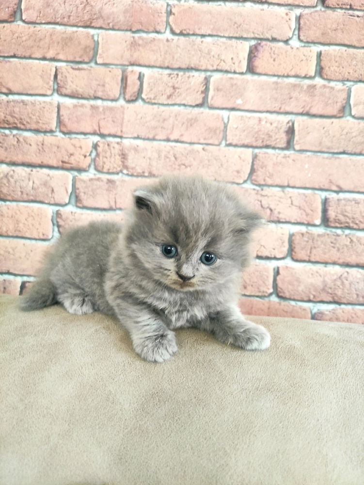 Galiba büyüyoruz 😏🐈‍⬛