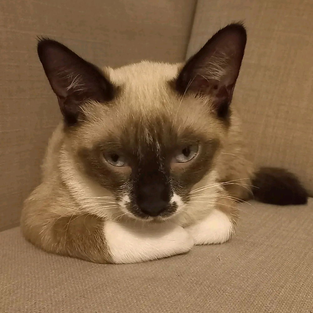 Bom dia!