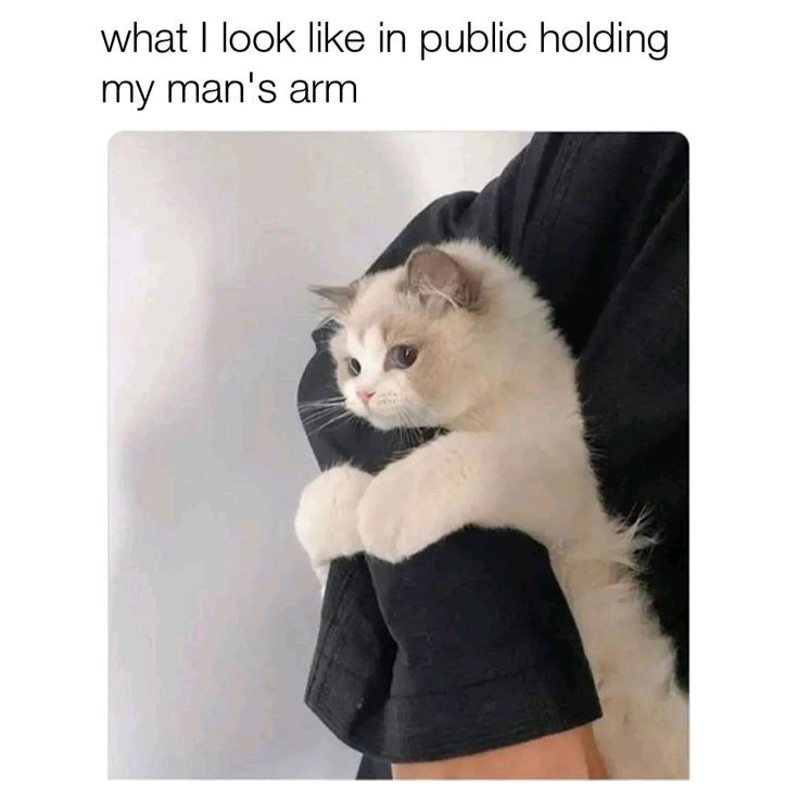😻