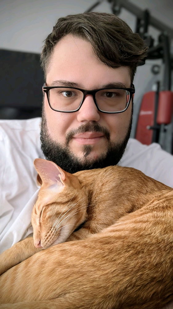 Müde Tiger 😻