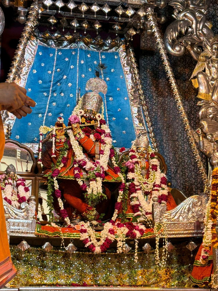 Shree Gopinath Jiii (Rajbhog Darshan)