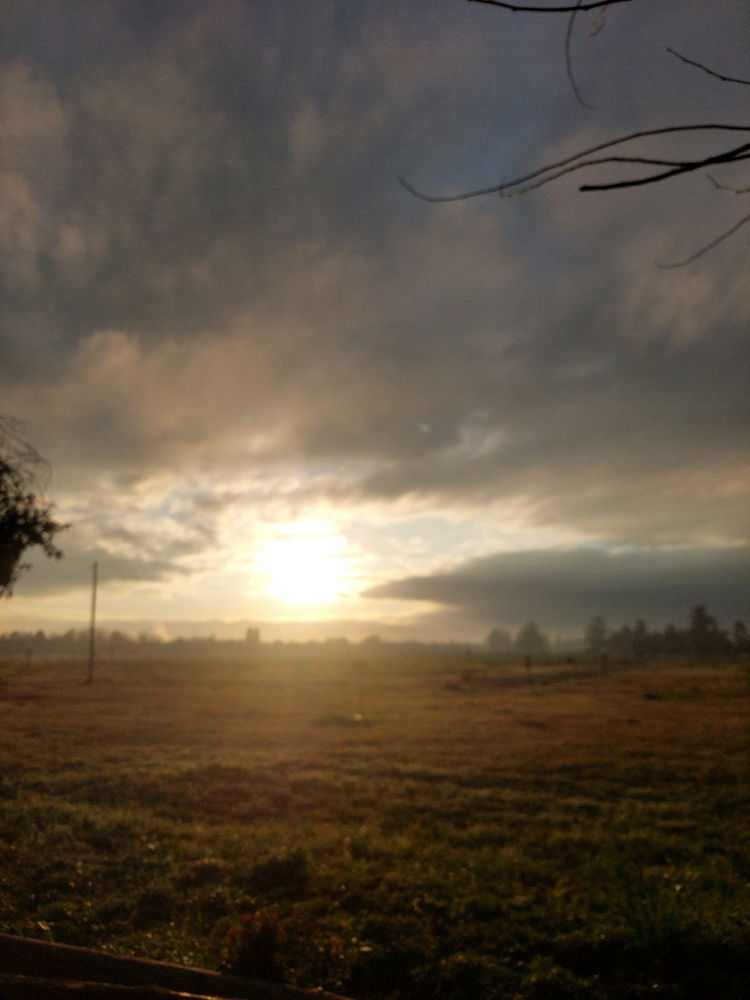 8 am