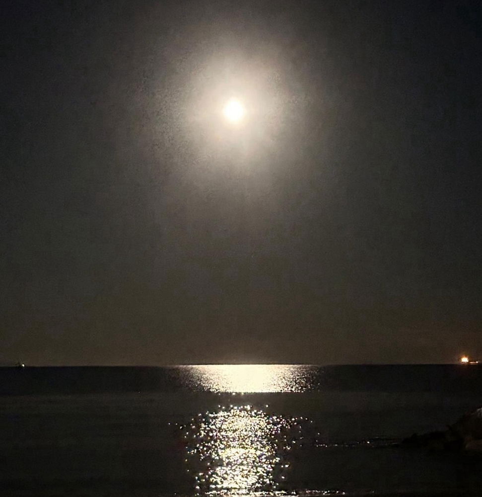 Canto alla luna di A. Merini