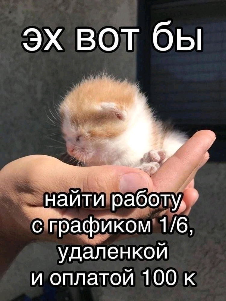 Мечта