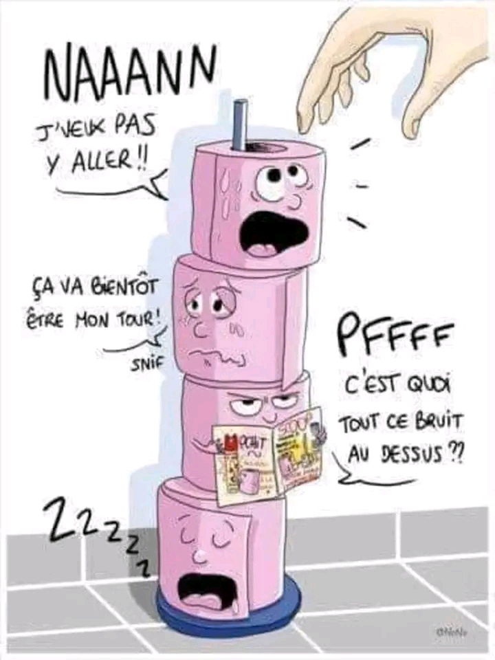 La dure vie du rouleau de PQ