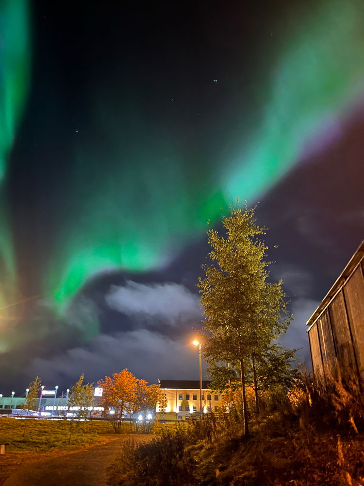 Some cool photos from Finland😺