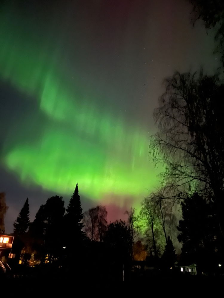 Some cool photos from Finland😺
