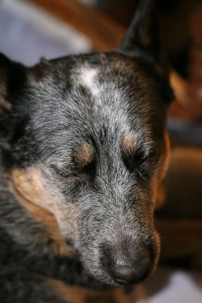 Look at this face.