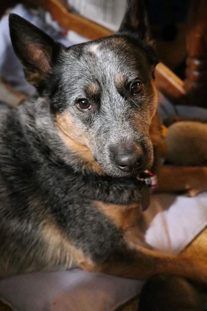 Look at this face.