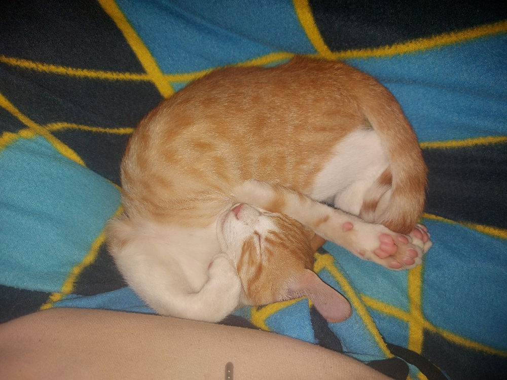 Martes de comodidad