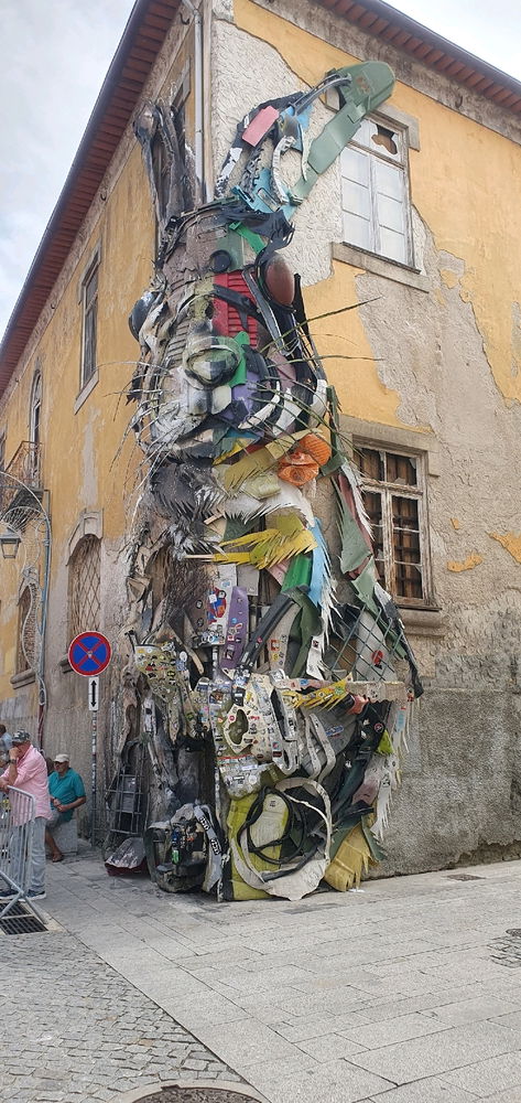 Vila nova de Gaia. 
Coelho