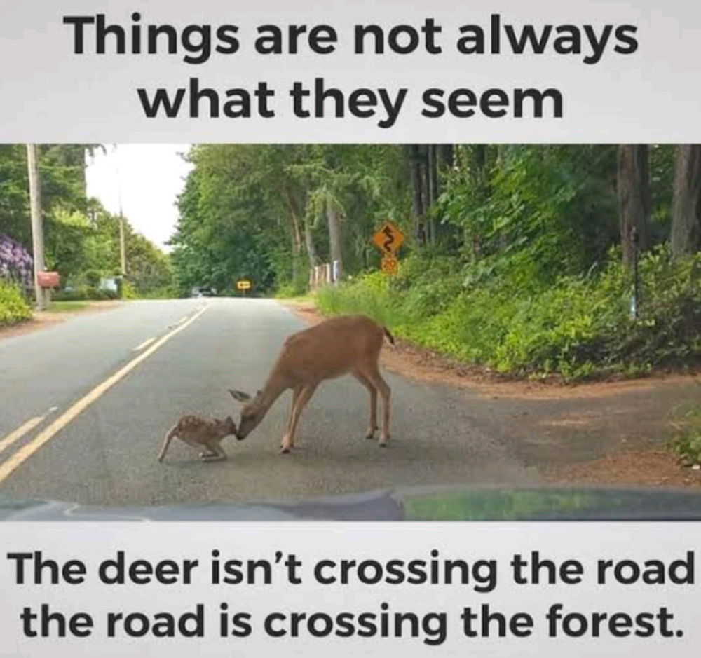 What's something you've realised when you looked at something from a different perspective and saw a bigger picture?