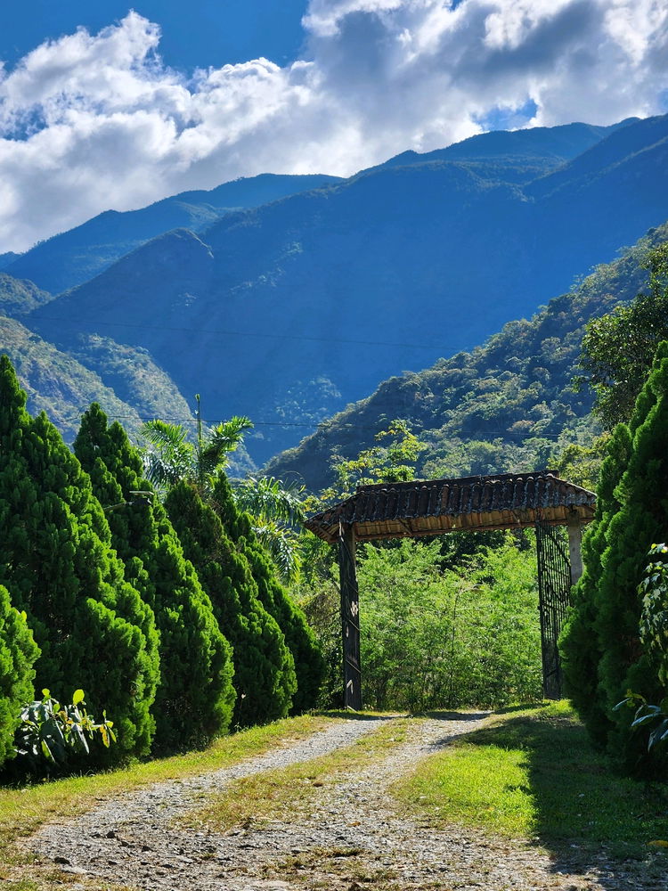 Que prefieren, para este feriado? :0