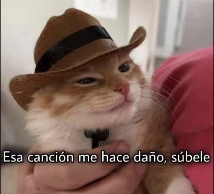 ¿Cuál es esa música que si la escuchan quieren cantarla a todo pulmon?