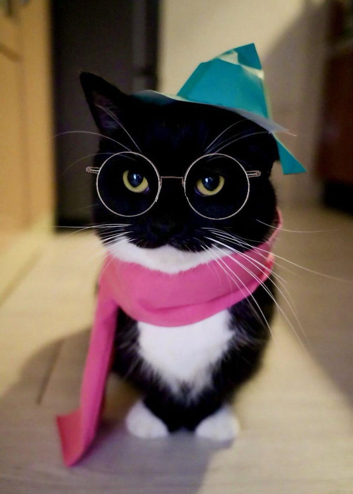 Fashion model