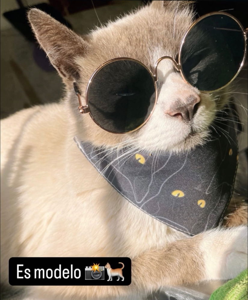 Mi rey 👑