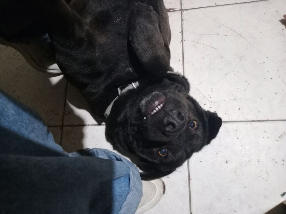 Un negro💞