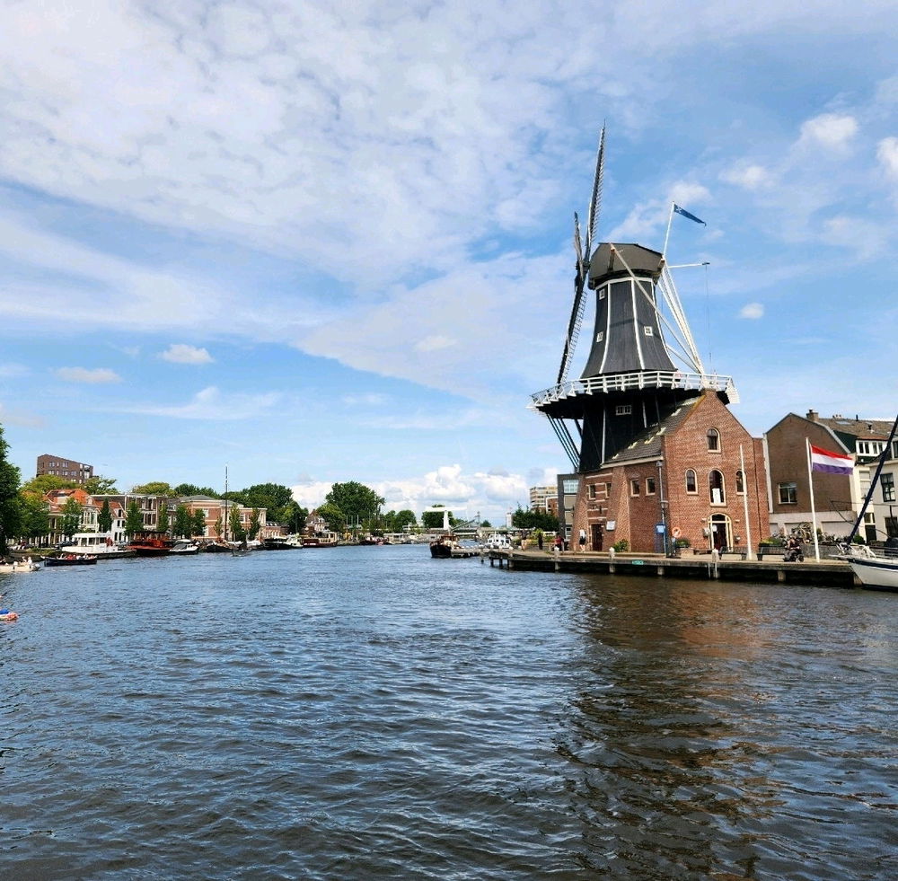 Haarlem (Netherlands)