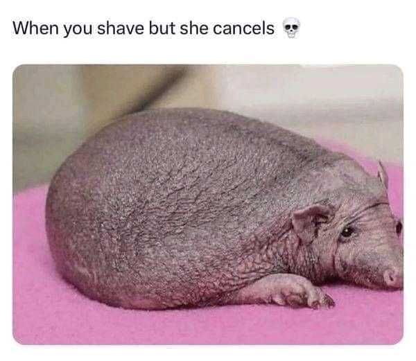 🥺