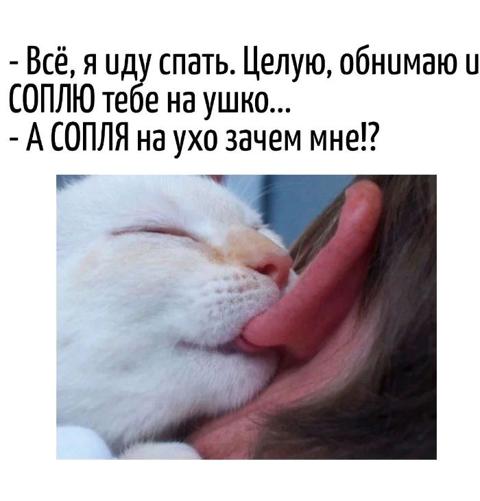 Соплю на ушко😆