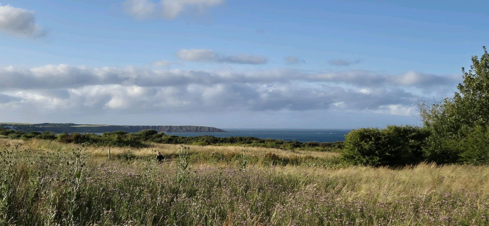 Seaside views