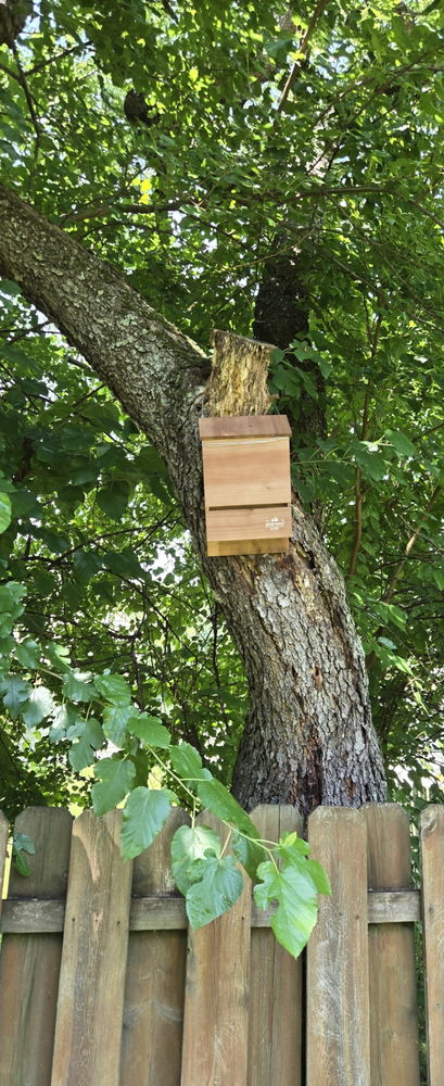 Bat House