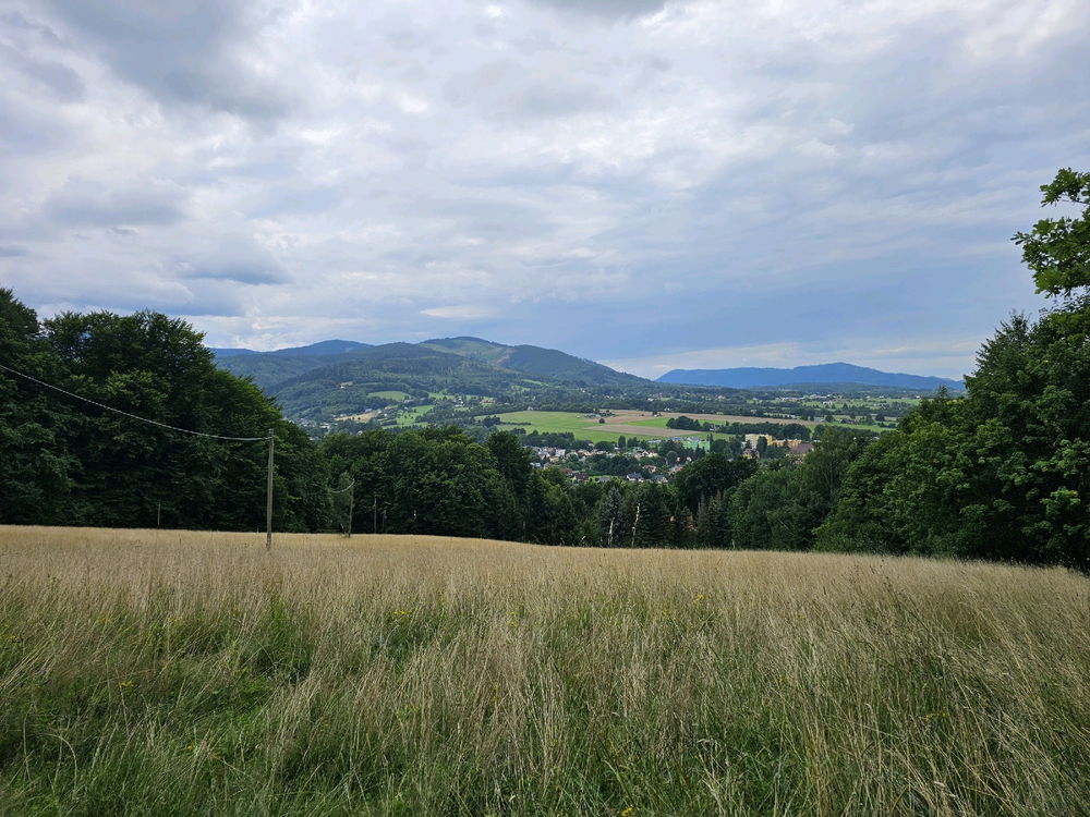 Prašivá