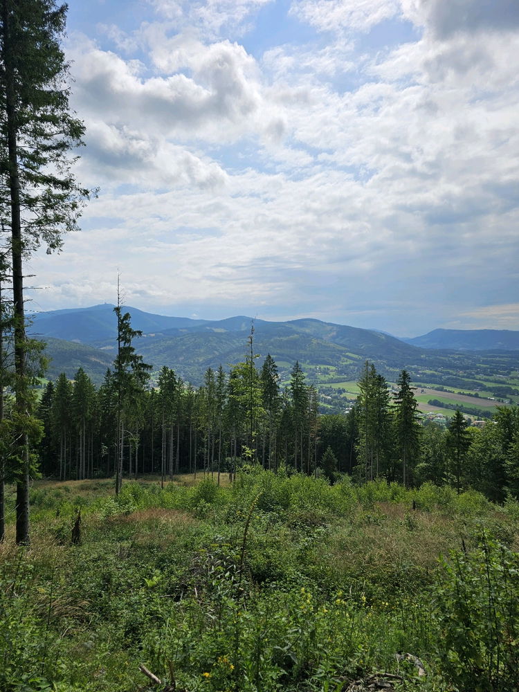 Prašivá