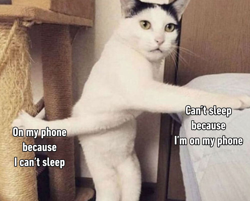 😂