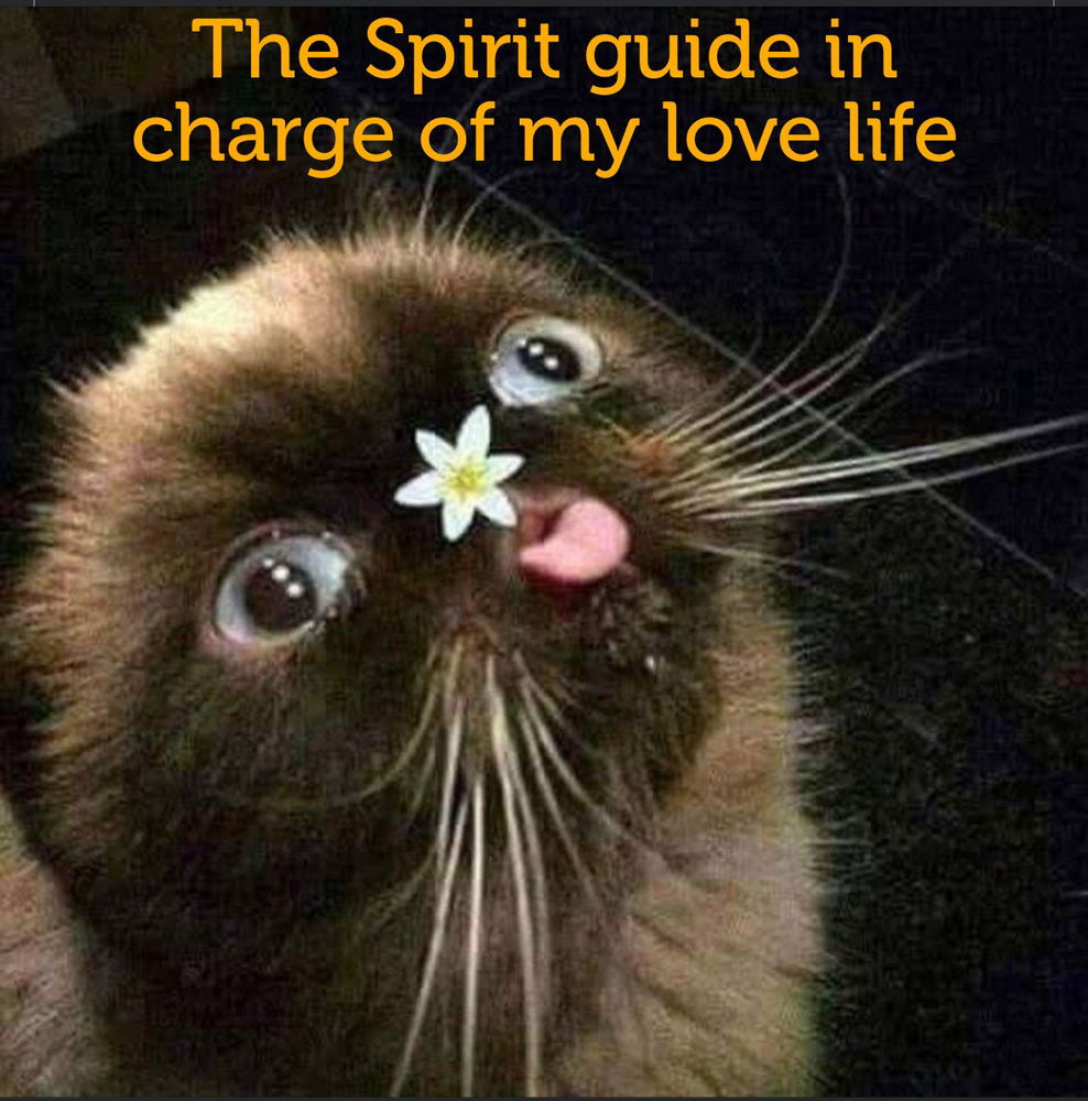 🤣😆🌼