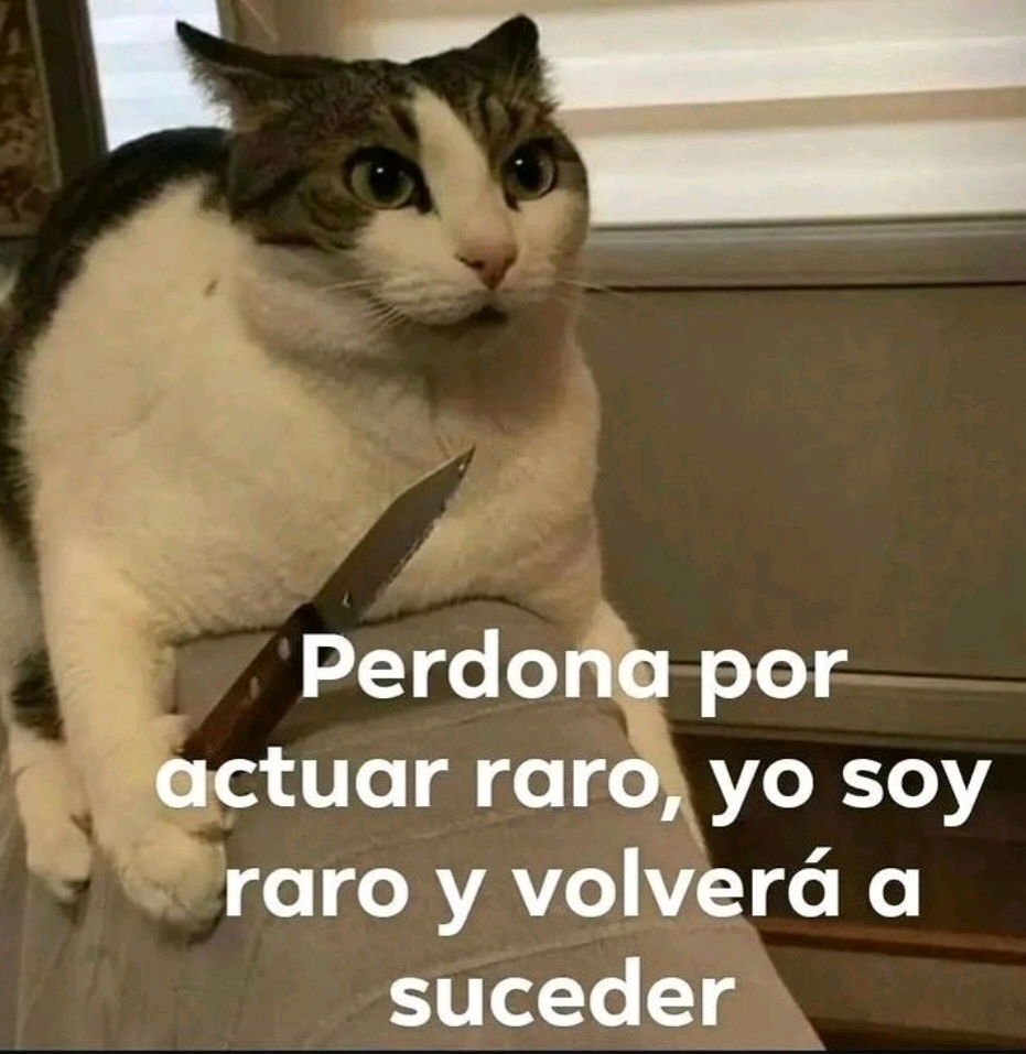 Lamento los chistes malos