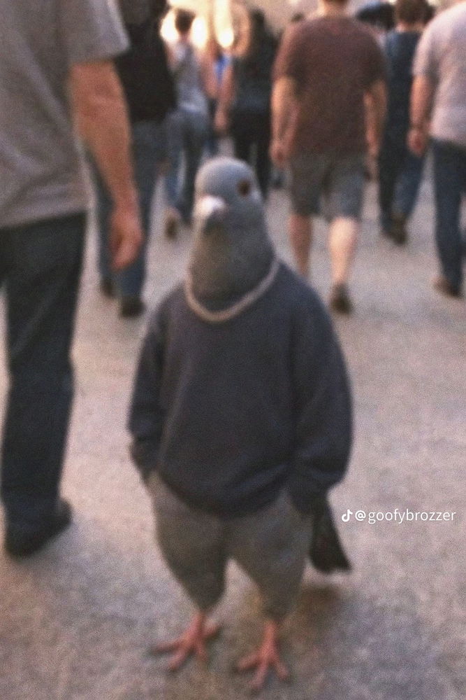 Sabes muy bien que vas a escuchar cuando el que elige la música se ve así, si o no