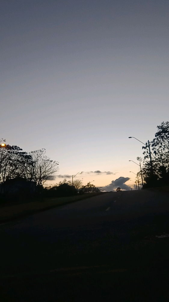 Minha manhã de caminhada