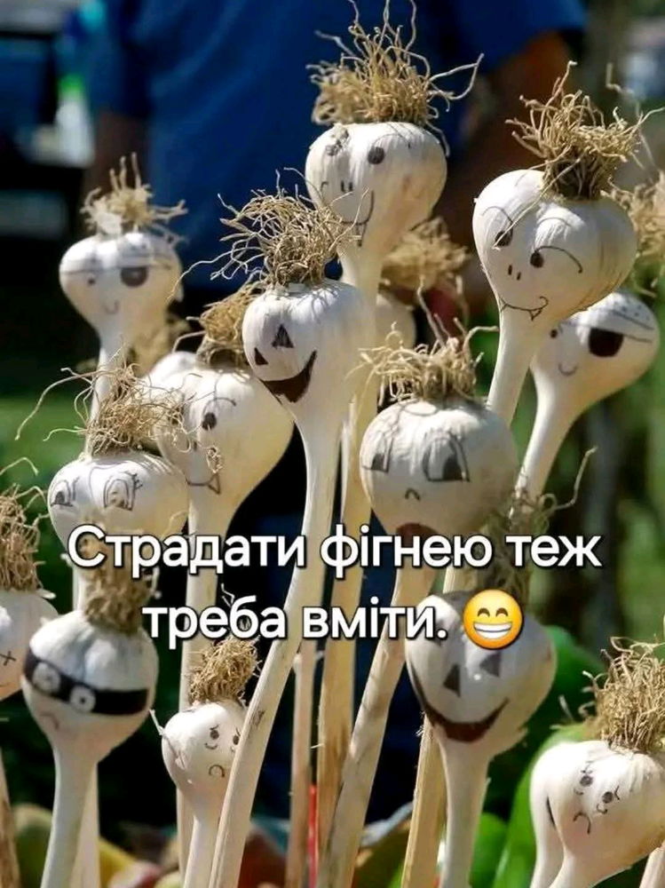 👆🤓