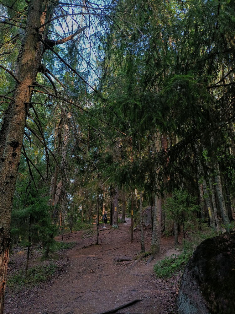 🍃