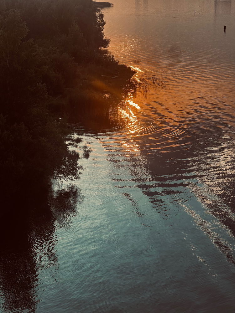 📷🌆