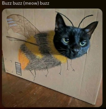 🐝