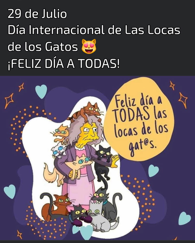 🐱🐱🙂