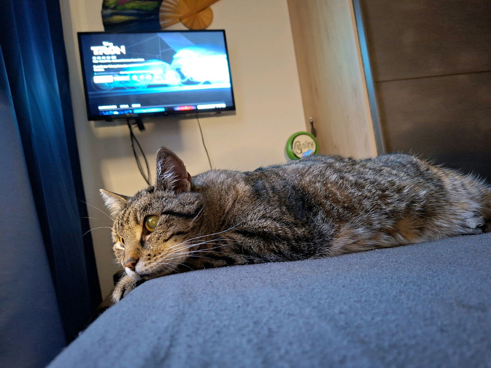 My Retro Mieze