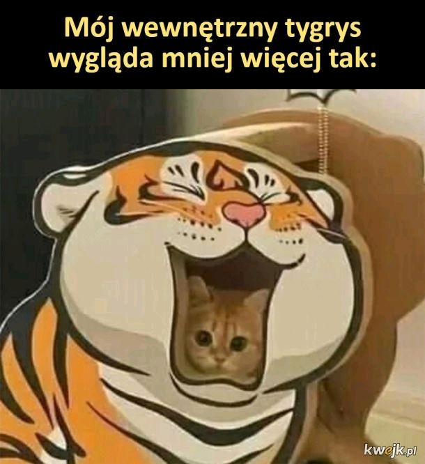 Mój wewnętrzny tygrys 🐯
