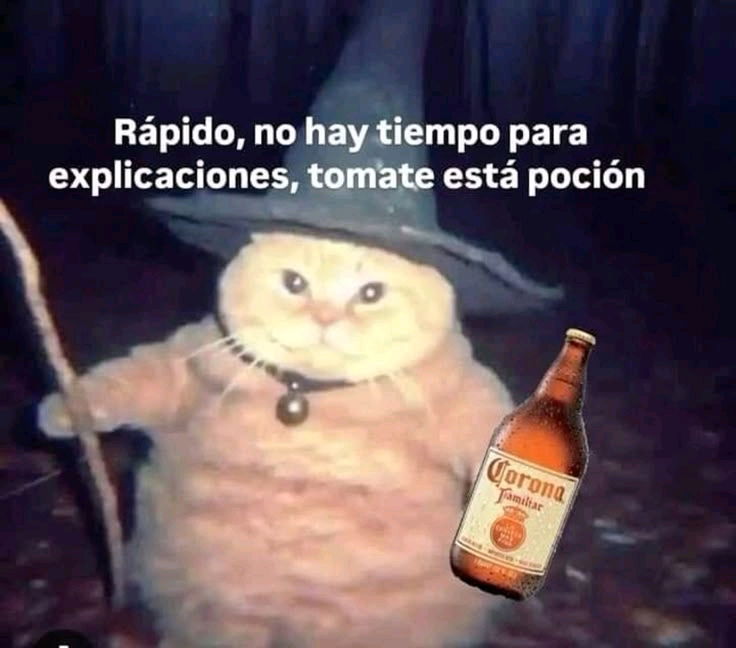 Hola