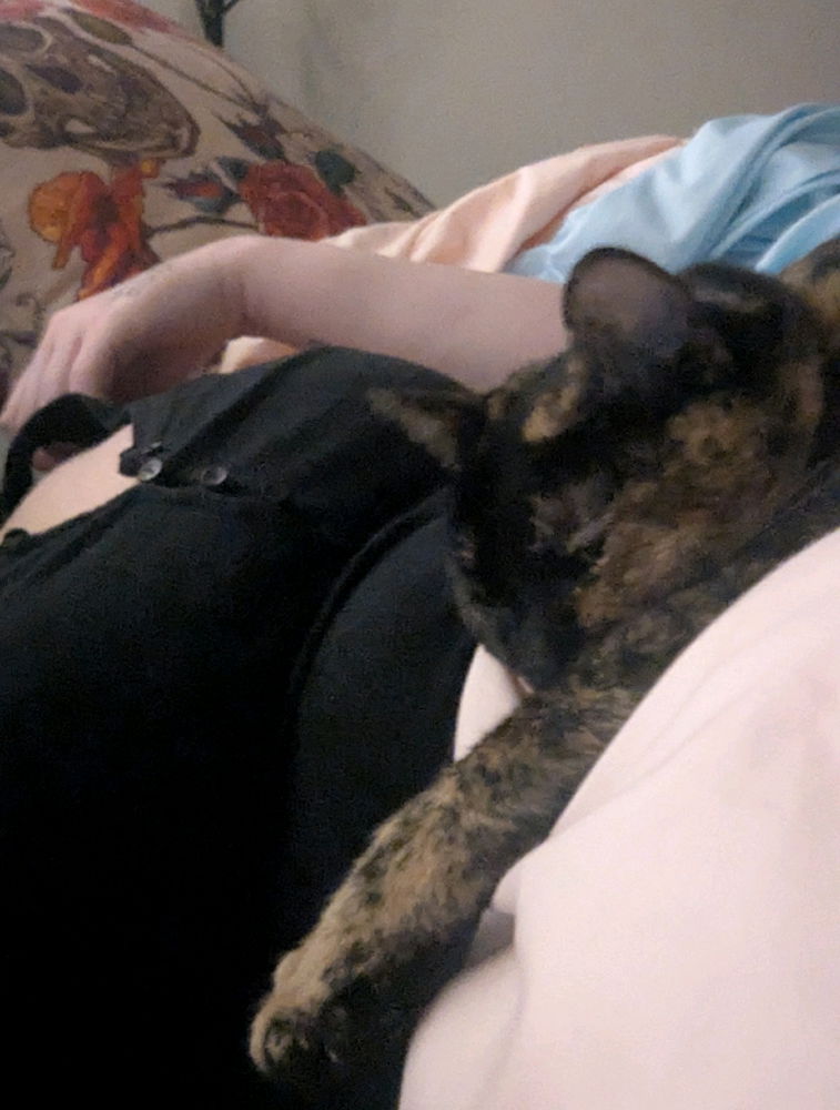 Sleepytime