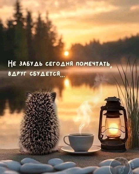 Ещё можно успеть! 🤗
