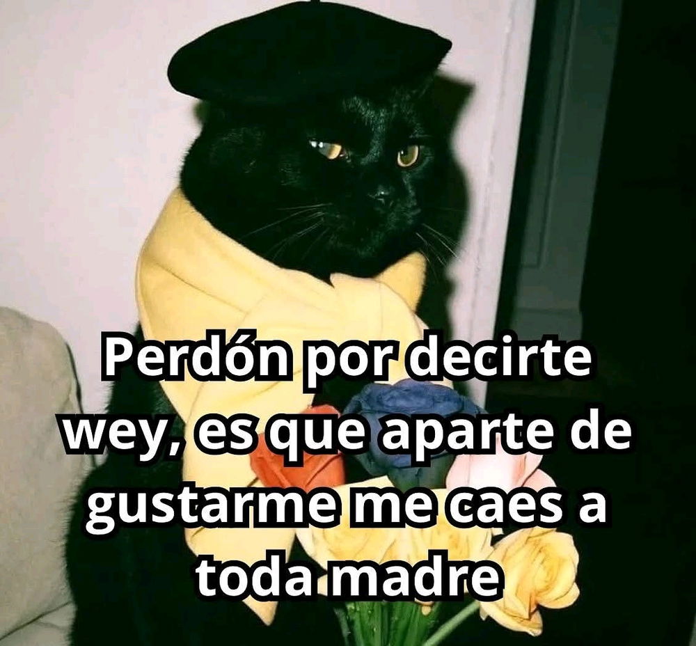 Pido perdón