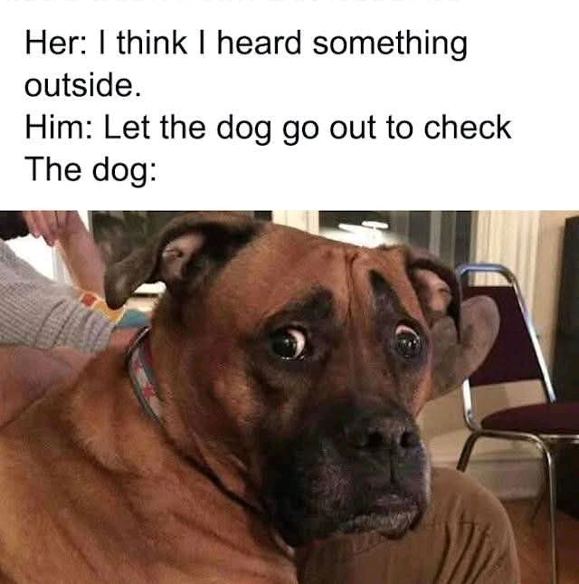 Memes