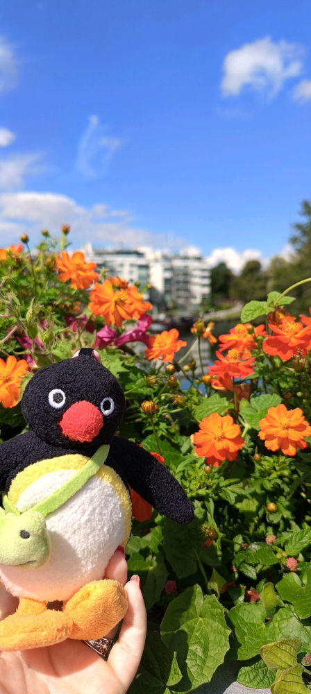 Pingu sueco? Eso es